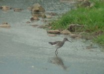 wood sand 2.jpg