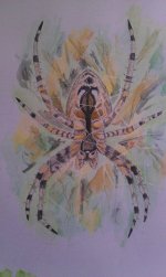 incey colour 2.jpg