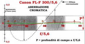 canon 300mm 5.6 Fl-F2.jpg