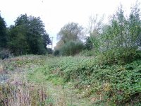 4.looking along salwrp track from Blakthrn  2 the west afta work 11 oct11.jpg