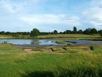 Sluice basin drying 7th Aug 11.jpg