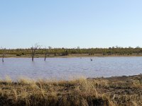 Sable Dam SA-august 2011 328.jpg