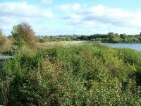 1. view b4 work from west hide looking north.jpg