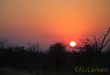 Sunrise over Kruger P1030660.jpg