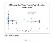 LRP Arrival Date Breeding Success Correlation.jpg