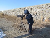 Junior birder.jpg