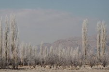 Bastam Valley ir.jpg