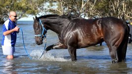 black-caviar-and-trainer-peter-moody.jpg