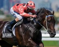 Black Caviar_photo_tn_Bronwen-Healy.jpg