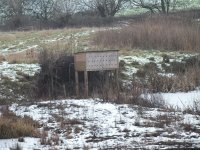 4 forum sand martin bank screened (2).jpg