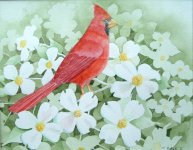 cardinal and dogwood.JPG