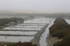 Oualidia Salt Pans (26.03.12).jpg