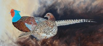 Pheasants-13_5-12.jpg