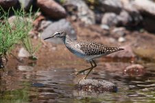 Wood sand copy.jpg