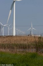 11800_Wind Power.jpg