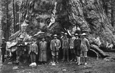 Theodore Roosevelt and John Muir_Grizzly Giant Tree_Yosemite National Park_1903.jpg