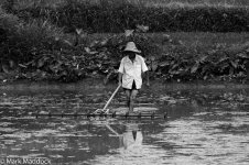 1148_Rice paddy worker_B&W.jpg