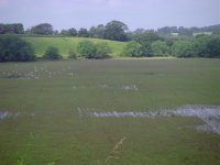 Salwarpe Valley 8Jul.jpg