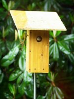 nestbox_front.jpg