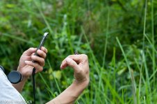 1308_Butterfly on hand.jpg