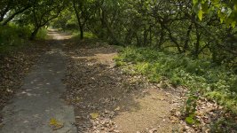 path MP nex7 raw_DSC6139.jpg