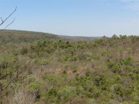 overlooking Ankarafantsika.JPG