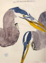 0022-G15-GreatBlueHeronSketch-Dec,12.jpg