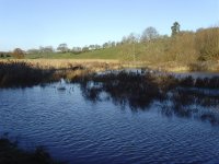 Coney Meadow Floods.jpg