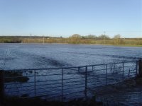 Flooded Fields.jpg