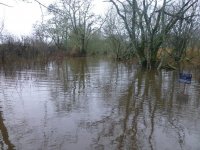 flooding 067.jpg