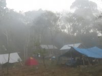misty camp.JPG