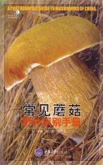 Chinese Mushrooms  guide.jpg