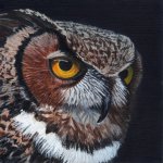 Great Horned Owl - Study.jpg