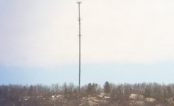 cell phone tower.JPG