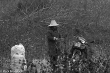 9070_Cotton-pickin' cotton picker_B&W.jpg