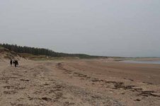 newborough beach.jpg