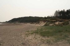 newborough forest dunes and beach.jpg