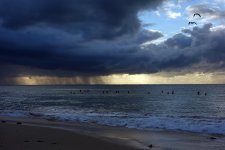clouds beach gulls %22long reef%22 sydney %22sony rx 100%22 DSC02983_edited-2.jpg