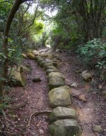 DSCN3694 ancient stone pathway.jpg