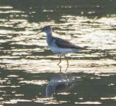 wood sand  IMG_3832.jpg