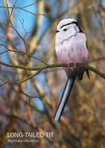 Long-tailed Tit.jpg