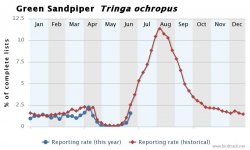 GreenSandpiper.jpeg