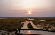 sunset water landcruiser botswana rx100M2_DSC3799_edited-1.jpg