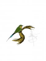 bluetailedbeeeater.jpg