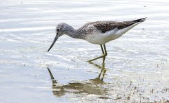 20130806_Rutland_0659.jpg