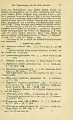 Snetlage 1908 - p.17.jpg