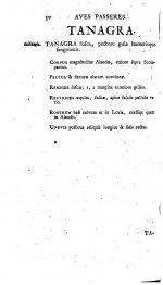 Linnaeus 1764 - Tanagra, p.30.jpg