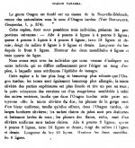 1. Schlegel 1866, p.190.jpg