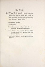 3. Sparrman 1787 - Tanagra capensis Text.jpg
