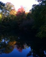 Bank Rock Pool.jpg